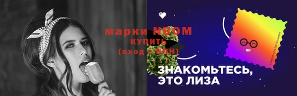 мет Алексин