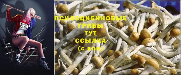 герыч Абаза