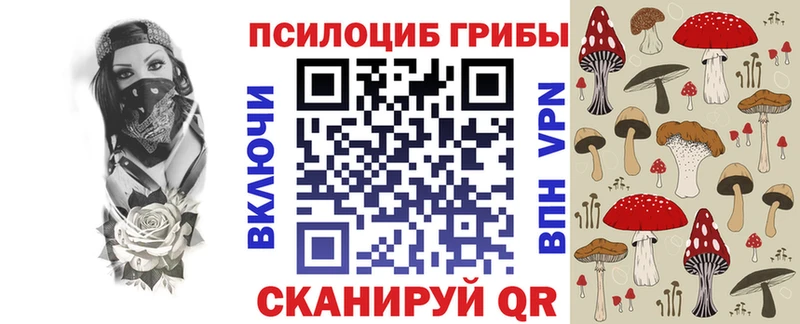 Псилоцибиновые грибы Magic Shrooms  Вологда 